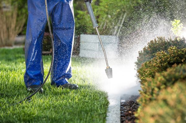 Curb Cleaning in Ponte Vedra Beach